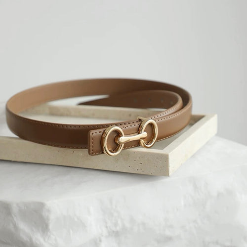 Linked Loop Belt