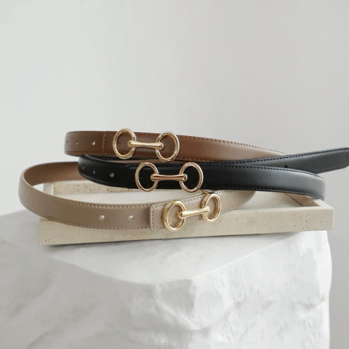 Linked Loop Belt